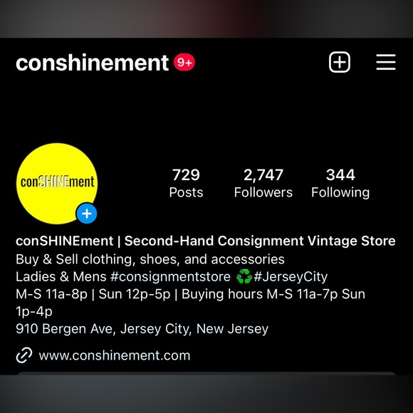 Meet your Posher, conSHINEment - Picture 2 of 2